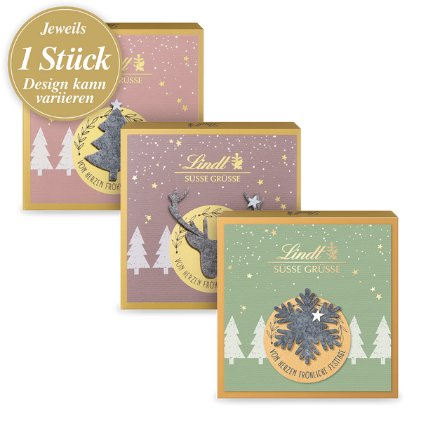 Lindt Filz Edition Pralinés 175g