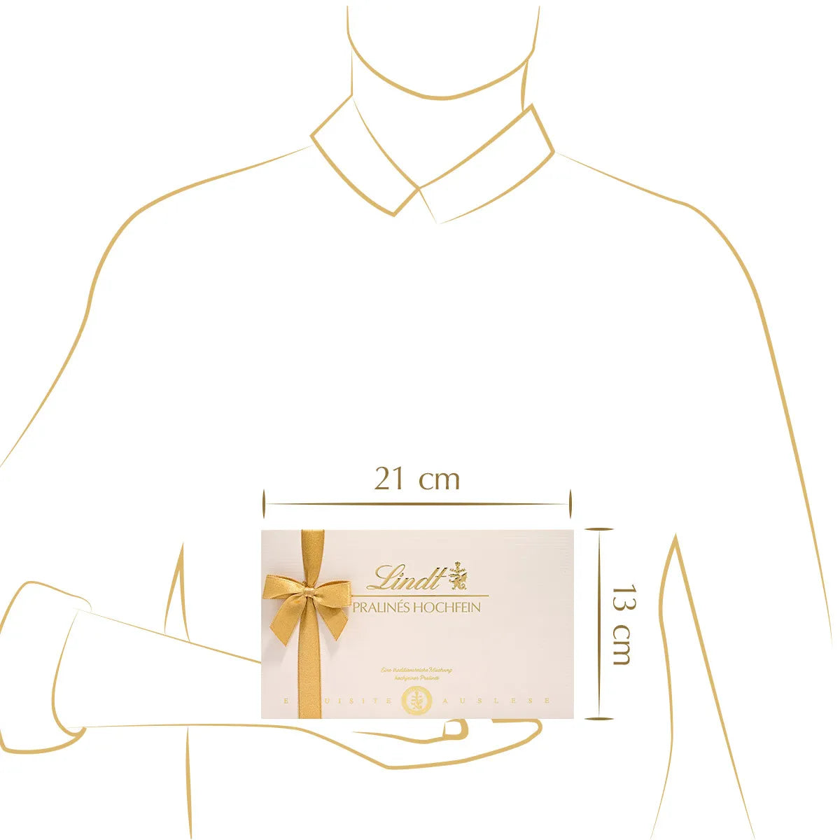 Lindt Hochfein Pralinen 120g MHD 01/27