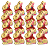 Lindt Goldhase Osterhase Vollmilch Schokolade Blumen Edition  100 g