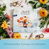 Lindt Eis-Pralinen Sommer Schokolade Limited-Edition (148g Schachtel) (ohne Alkohol)