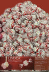 LINDOR White Peppermint, weisse schokolade mit Pfefferminze Limited Edition 12st