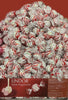 LINDOR White Peppermint, weisse schokolade mit Pfefferminze Limited Edition 12st