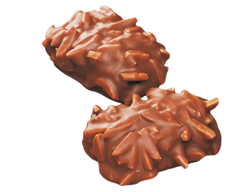 Feinbäckerei Otten Mandel-Honig Printen in 52% Volmilchschokolade 2000g