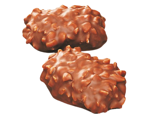 Feinbäckerei Otten Nuss-Honig Printen 2000g